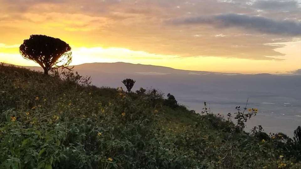 Nairobi to Joburg Overland: Craters & Camping - G Adventures - Kenya - Image 15