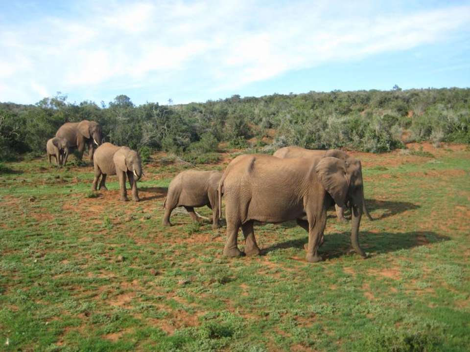 Nairobi To Johannesburg (74 Days) Coast To Coast - Oasis Overland - Kenya - Image 3
