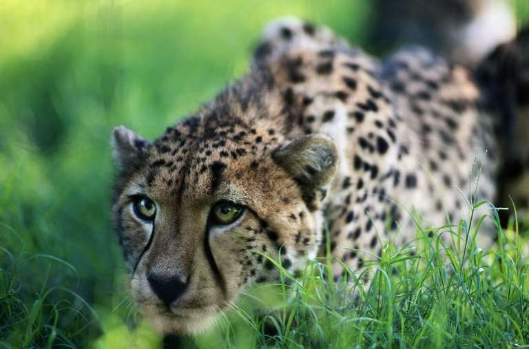 Nairobi To Johannesburg (74 Days) Coast To Coast trip - alternative tour available