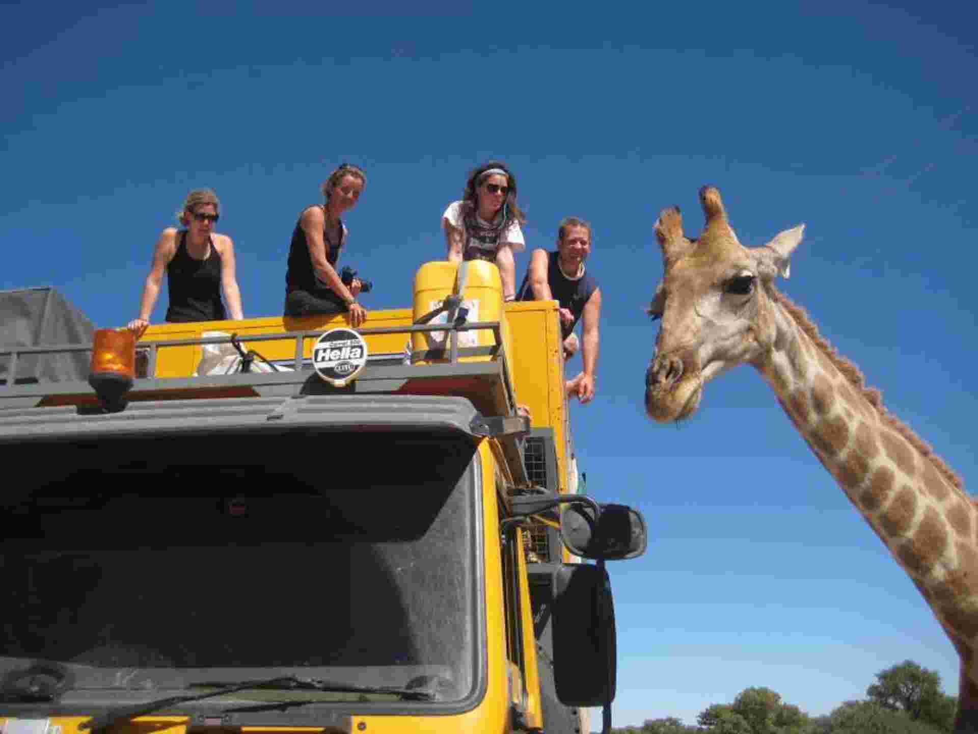 Nairobi To Johannesburg (94 Days)