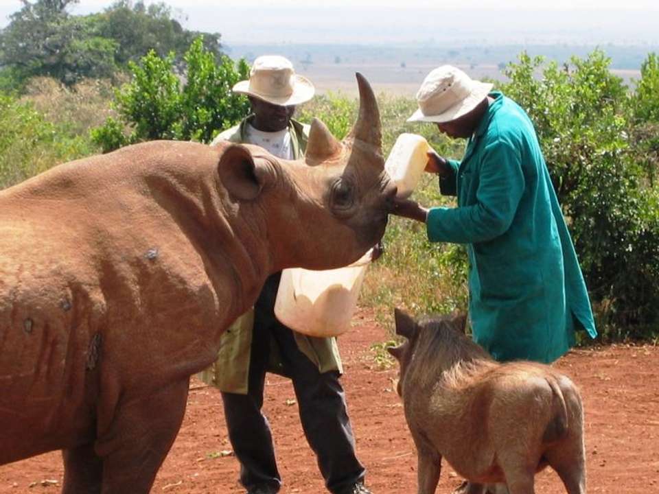 Nairobi To Kigali (13 Days) Gorillas & Gameparks - Oasis Overland - Kenya - Image 4