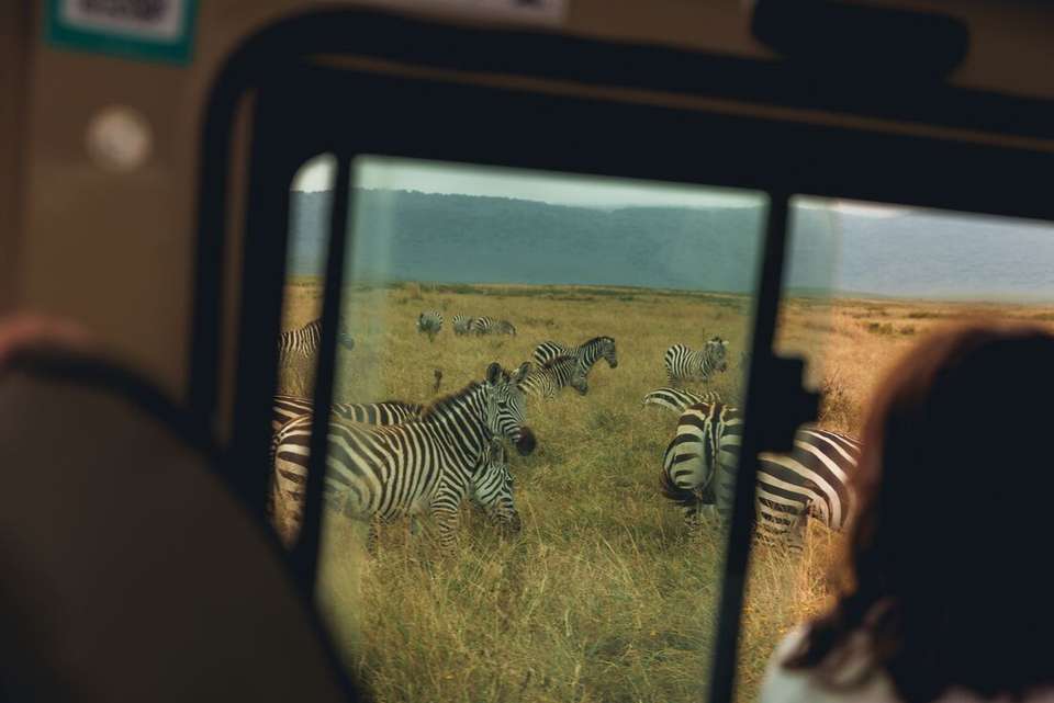 Nairobi to Stone Town - Intrepid Travel - Kenya - Image 4