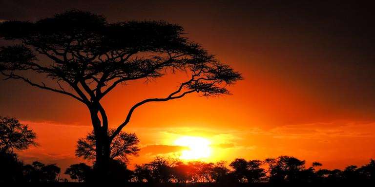 Nairobi to Zanzibar: Serengeti & Sunsets trip - alternative tour available