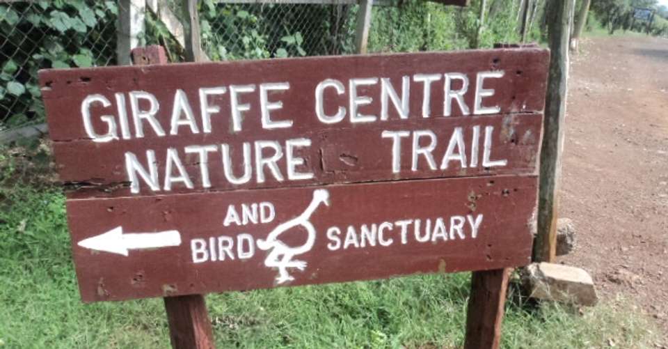 Nairobi Tour To Giraffe Center and Karen Blixen Museum - Cruzeiro Safaris - Kenya - Image 3