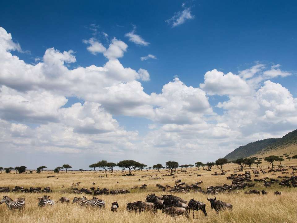Nakuru, Naivasha & Mara Safari (Lodge) - 5 days - On The Go Tours - Kenya - Image 2