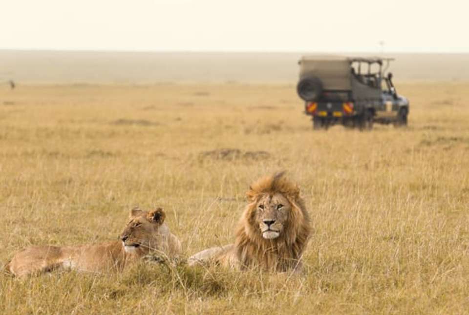 Nakuru, Naivasha & Mara Safari (Lodge) - 5 days - On The Go Tours - Kenya - Image 3