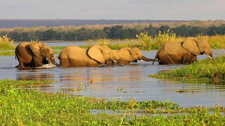 Namibia National parks Tour: Namibia & Botswana Self-Driving Trip: 17 Days 
