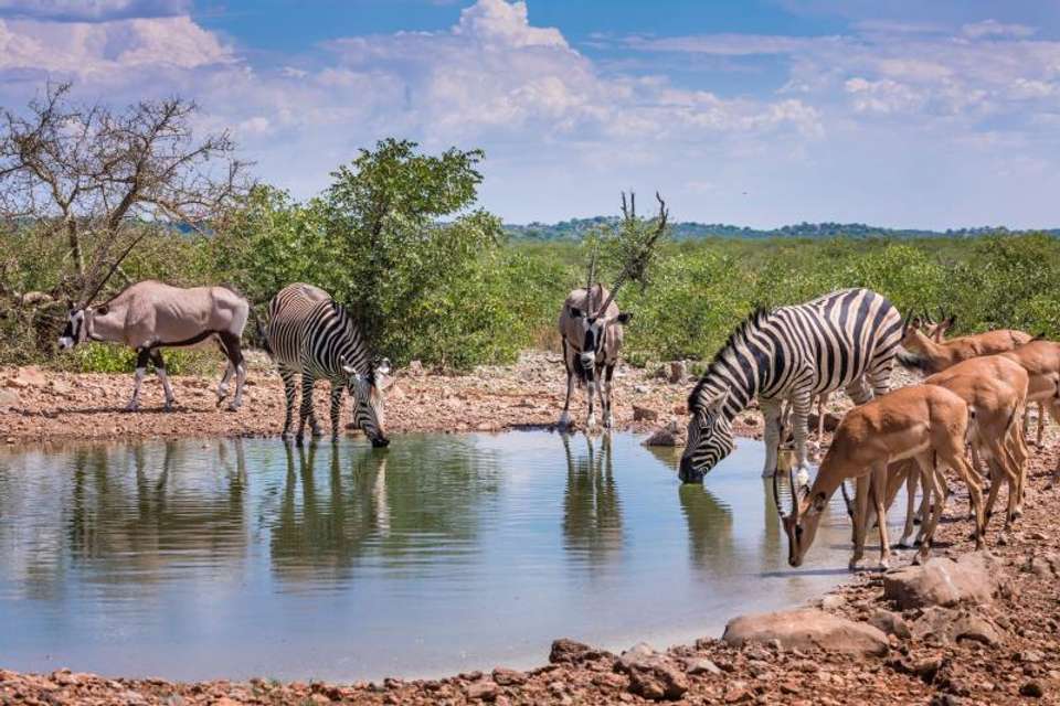 Namibia & Botswana Uncovered - Encounters Travel - Namibia - Image 6