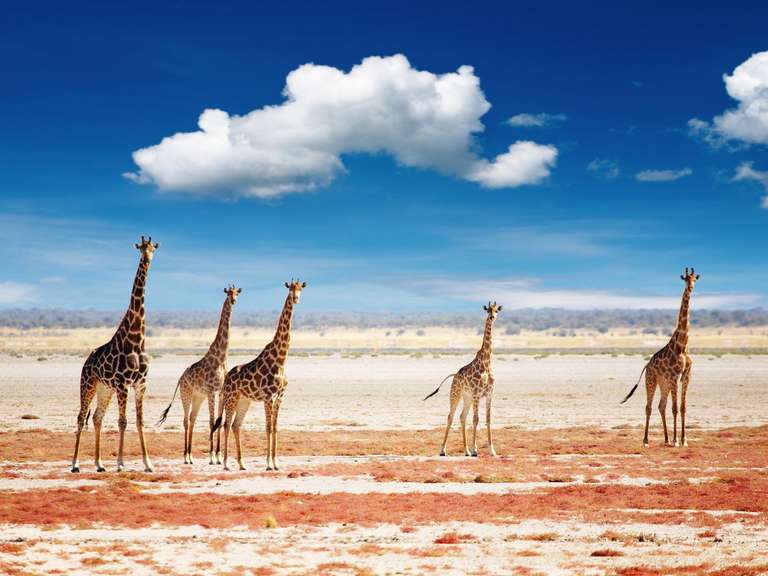 Namibia & Cape Discovery - 11 days trip - alternative tour available