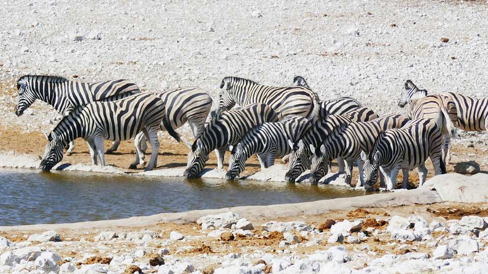 Namibia & South Africa: Epic Landscapes and Wildlife  - Collette Tours - South Africa - Image 3