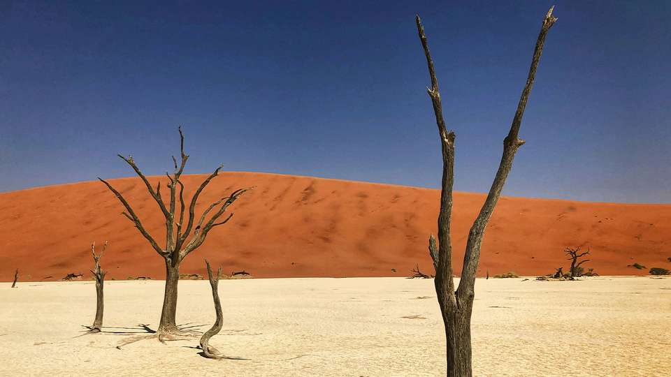 Namibia & South Africa: Epic Landscapes and Wildlife  - Collette Tours - South Africa - Image 5