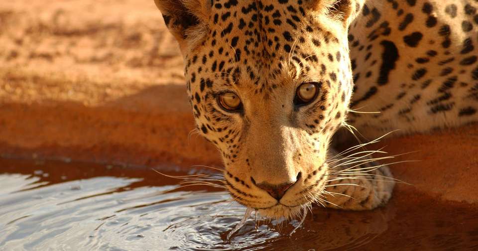 Namibia Lodge Safari - Explore - Namibia - Image 3