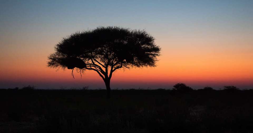 Namibia Lodge Safari - Explore - Namibia - Image 8