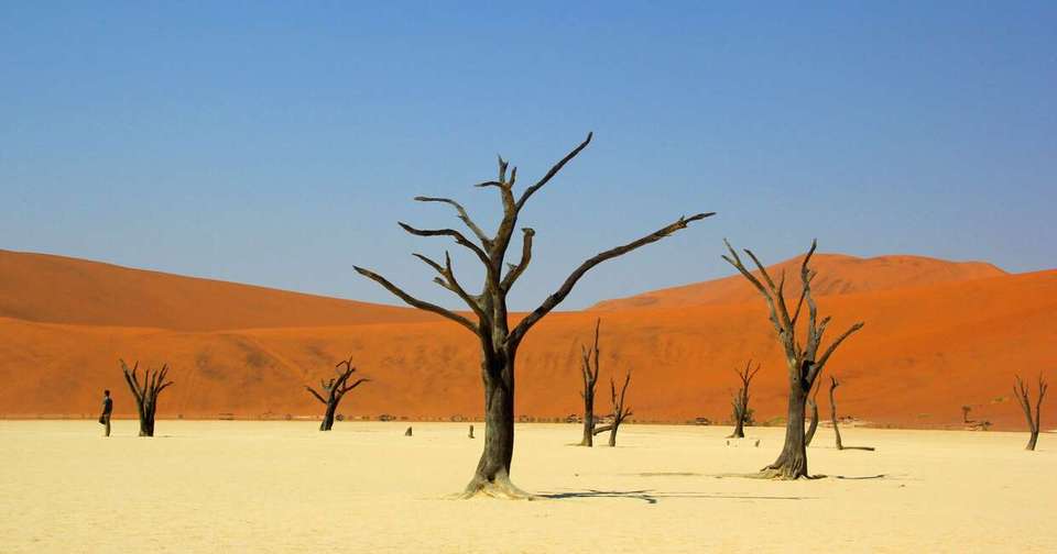 Namibia Lodge Safari - Explore - Namibia - Image 10