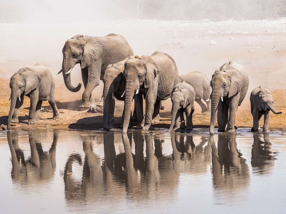 Namibia Sand Dunes & Safari - 8 days  - On The Go Tours - Namibia - Image 2