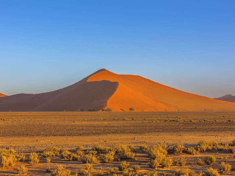 Namibia Sand Dunes & Safari - 8 days  - On The Go Tours - Namibia - Image 7