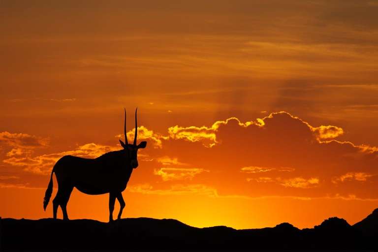 Namibia The Finest Way, Self-drive - October 2025