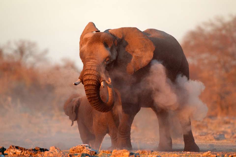 Namibian Family Adventurer - Exodus Adventure Travels - Namibia - Image 3