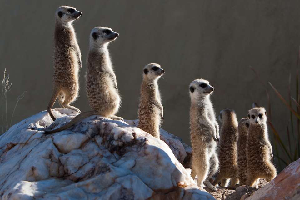 Namibian Family Adventurer - Exodus Adventure Travels - Namibia - Image 7