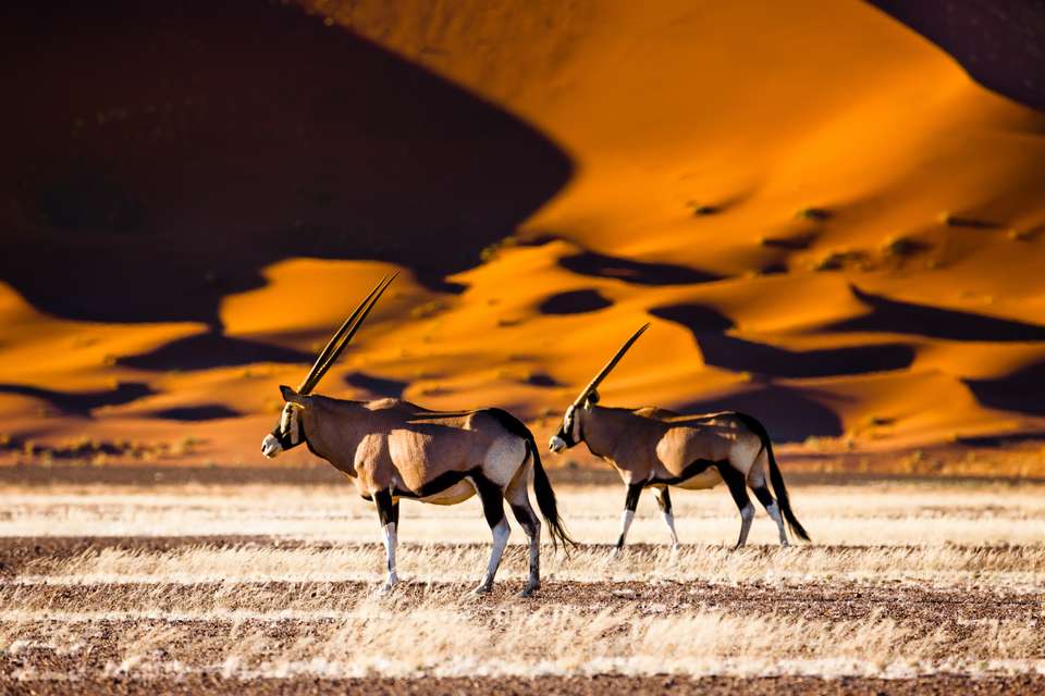 Namibian Family Adventurer - Exodus Adventure Travels - Namibia - Image 11
