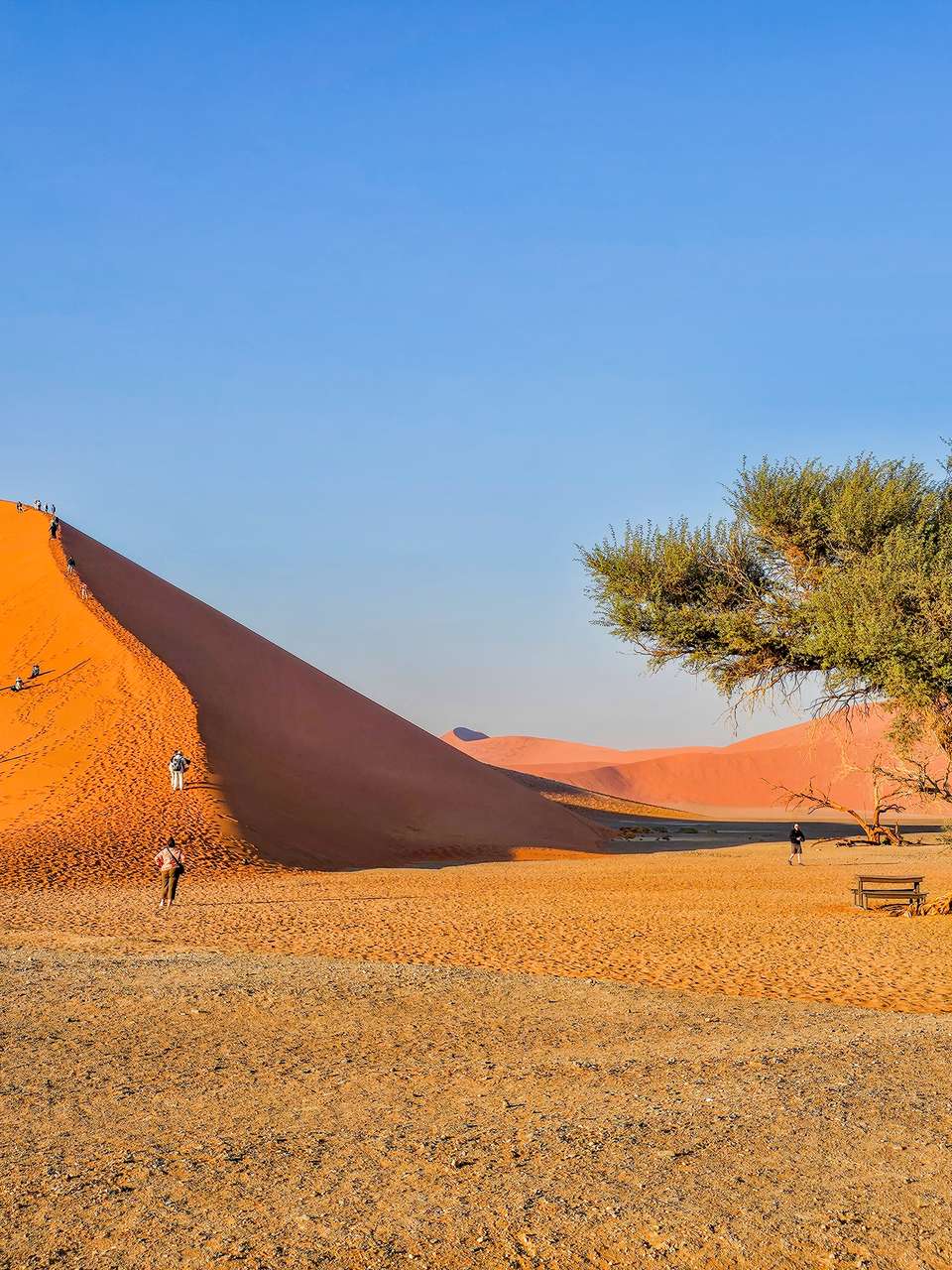 Namibian Family Adventurer - Exodus Adventure Travels - Namibia - Image 15