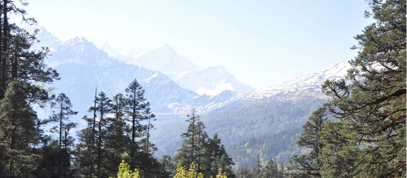 Image 5 of 7