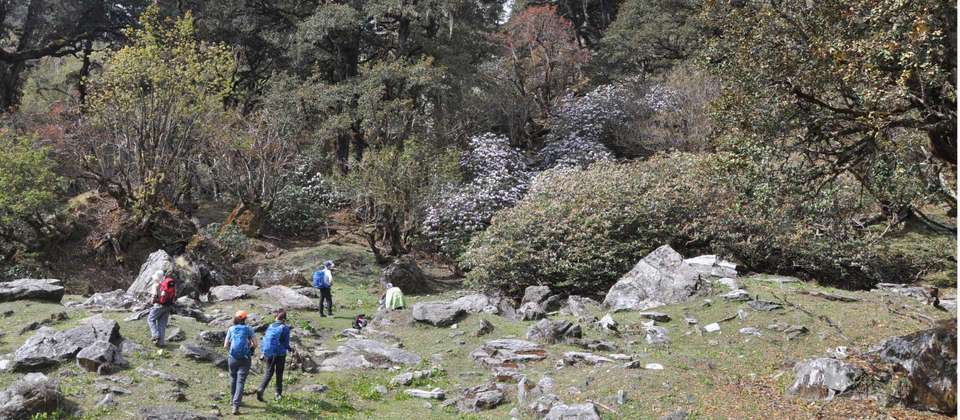 Image 7 of 7