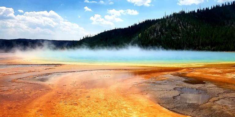 Jackson National parks Tour: National Parks Family Journey: Yellowstone and Grand Teton