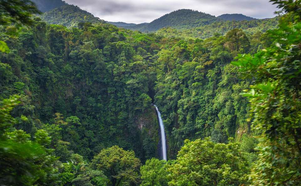 Natural Highlights of Costa Rica - Exodus Adventure Travels - Costa Rica - Image 14