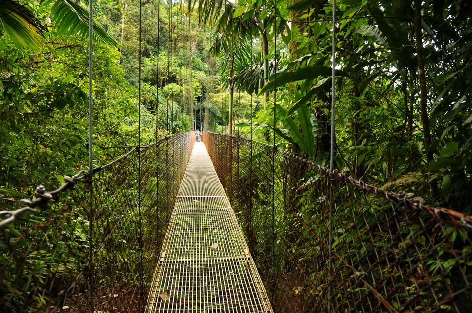 Natural Highlights of Costa Rica - Exodus Adventure Travels - Costa Rica - Image 8