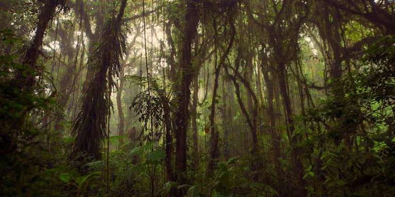 Journeys: Highlights of Costa Rica - Spring tours