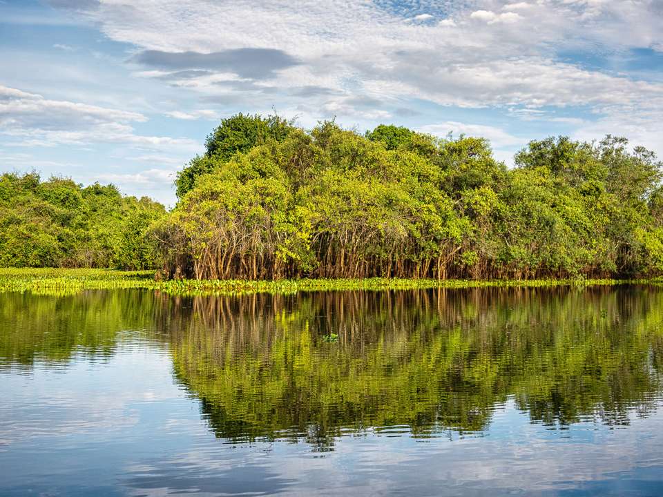 Natural Wonders of Brazil - 12 days - On The Go Tours - Brazil - Image 4