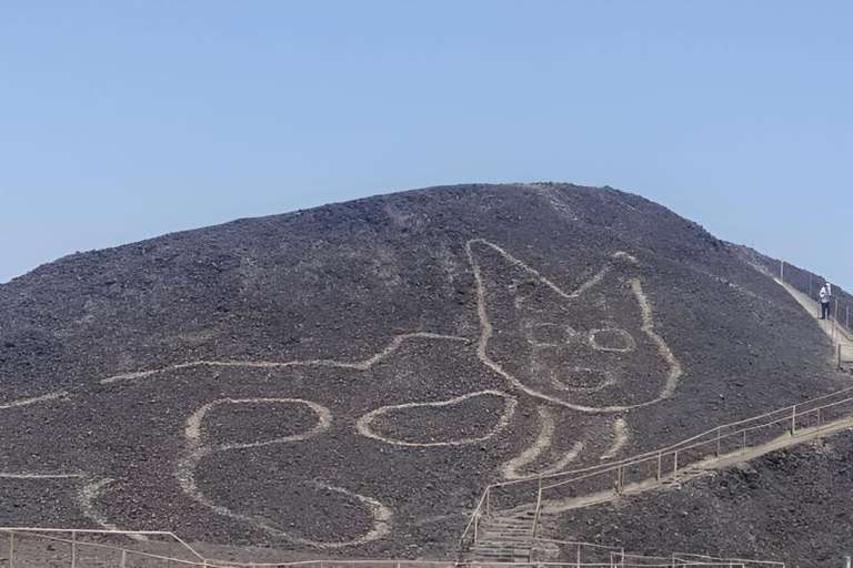 Nazca Lines Lookout and Maria Reiche Museum trip - alternative tour available