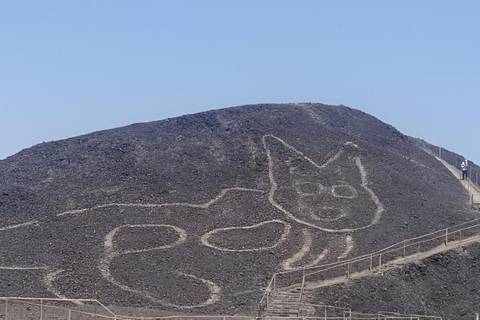 Nazca Lines Lookout And Maria Reiche Museum - 1 Day