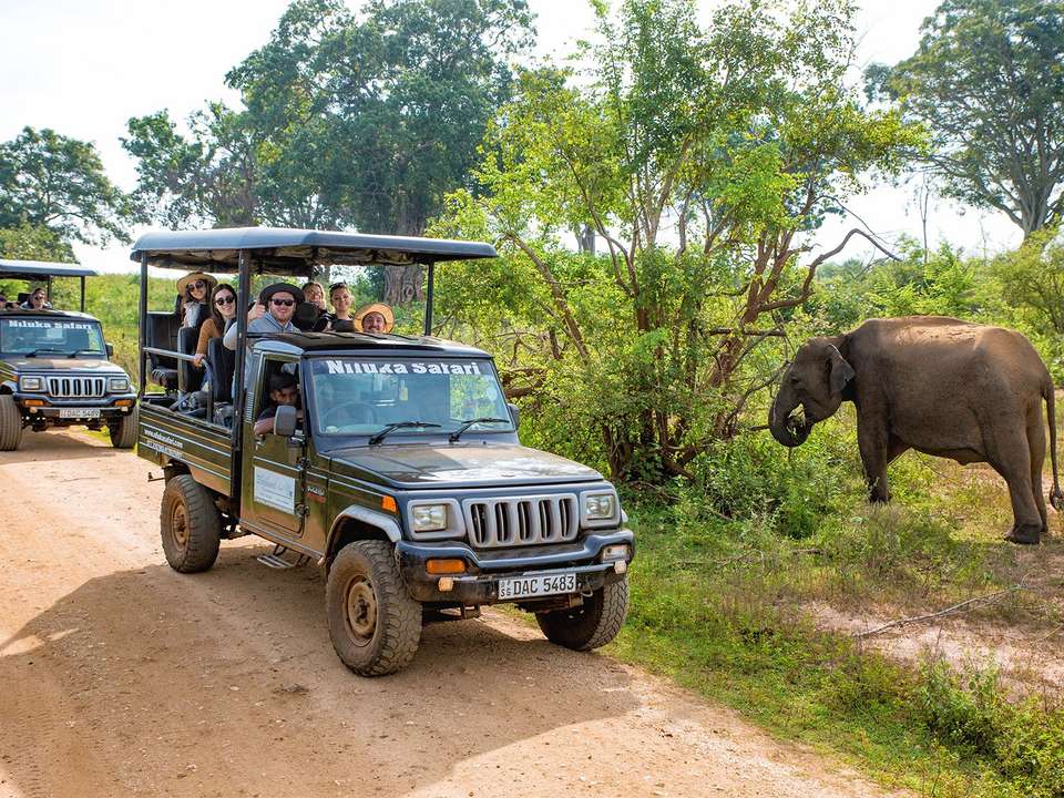 Negombo to Mirissa Adventure - 12 days - On The Go Tours - Sri Lanka - Image 11