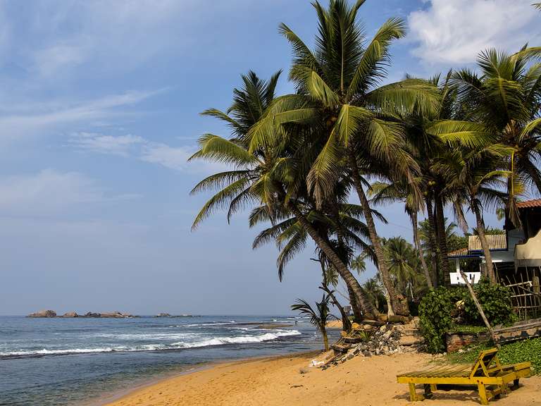 Negombo to Mirissa Youth Adventure  - 12 days trip - alternative tour available