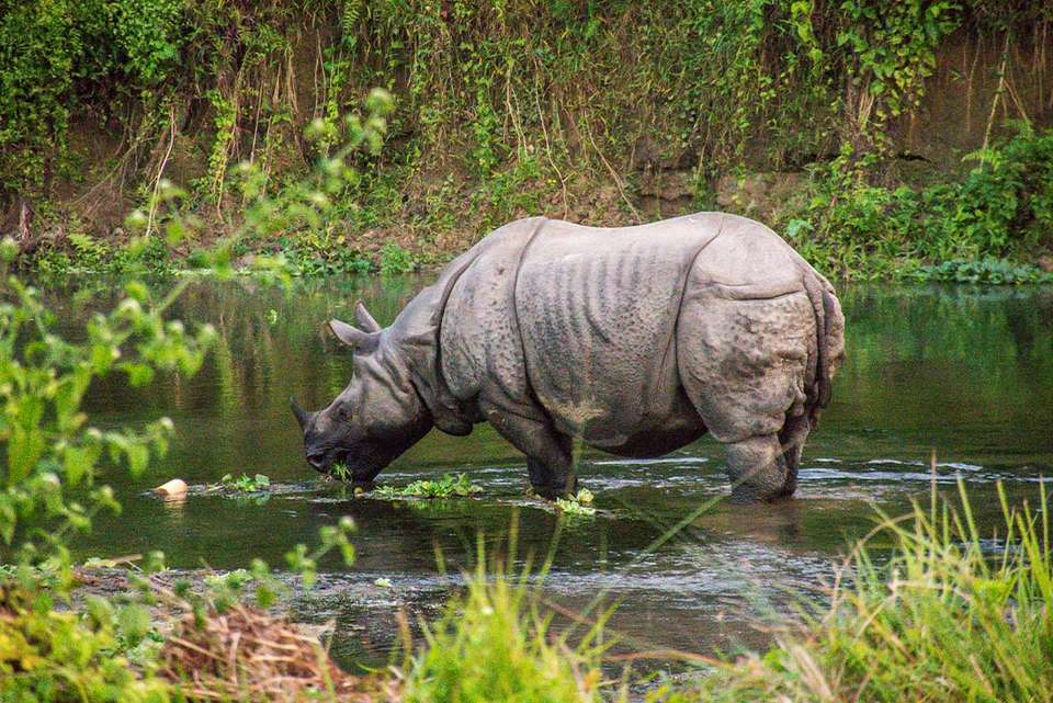 Nepal Adventure - Intrepid Travel - Nepal - Image 8
