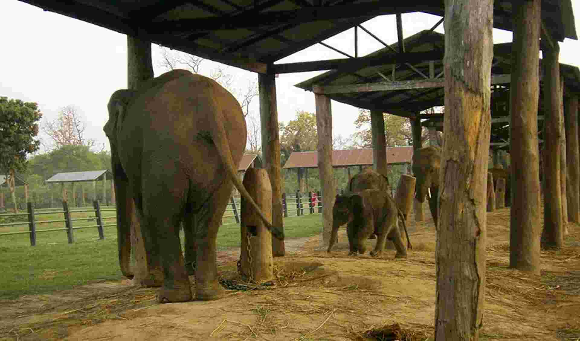 Nepal Adventure 8D/7N (Private Transport)
