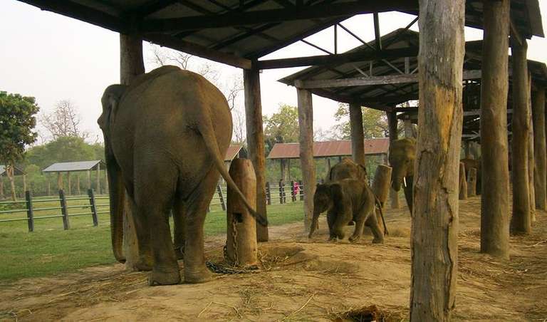 Kathmandu Explorer Tour: Nepal Adventure 8D/7N (Private Transport)