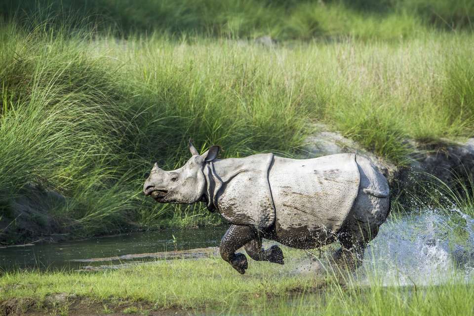 Nepal Adventure & Culture Tour - Travel Max Guide - Nepal - Image 7