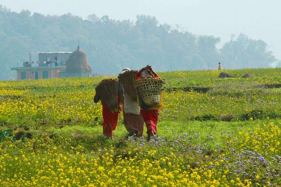 Nepal & Bhutan: From the Annapurna Foothills to Tiger's Nest - G Adventures - Nepal - Image 5