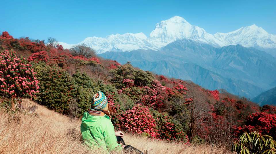 Explore Nepal - Travel Max Guide - Nepal - Image 5