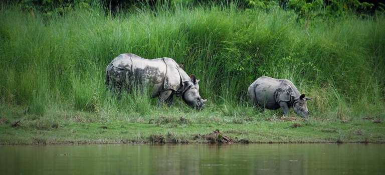 Nepal Family Essentials trip - alternative tour available