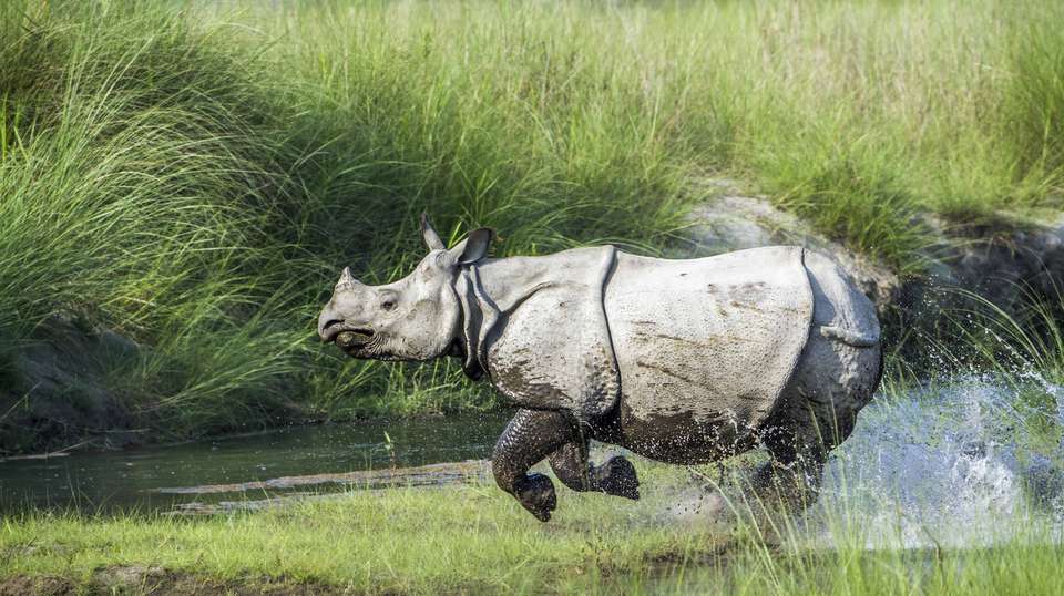 Nepal Highlights Round-Trip - Travel Max Guide - Nepal - Image 4