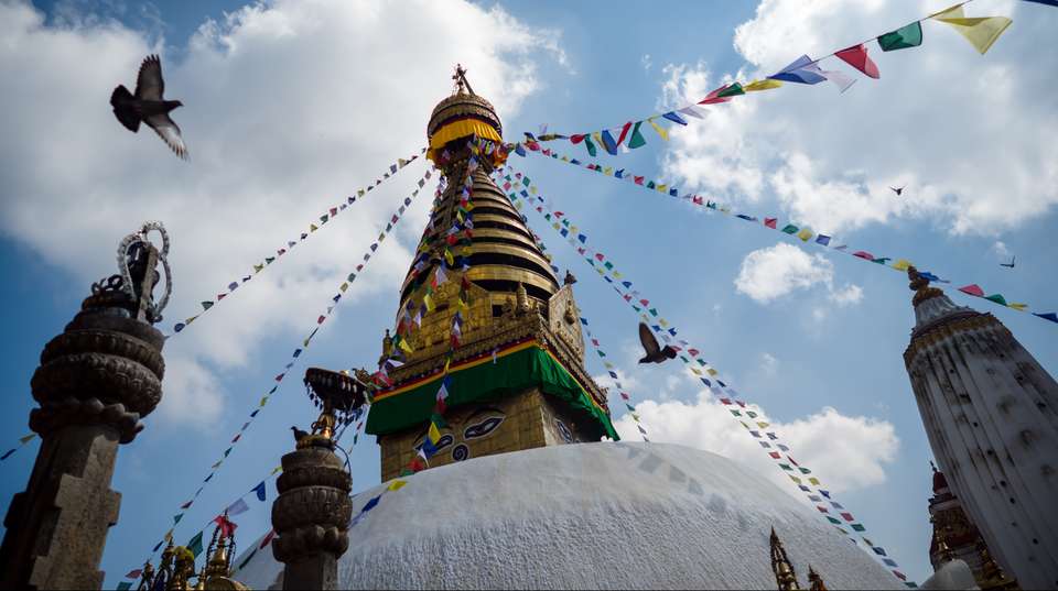 Nepal Holiday - undefined - Image 4