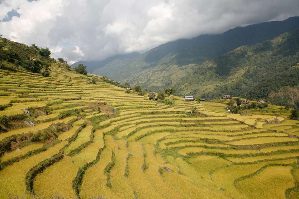 Nepal Independent Short Break: Kathmandu Valley & Himalayas - Intrepid Travel - Nepal - Image 2