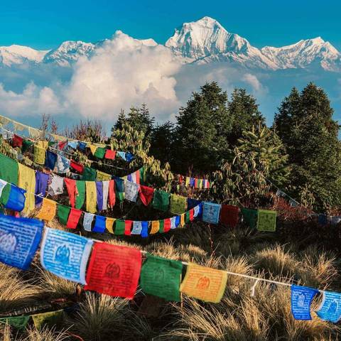 Nepal Group Tours: Nepal: Kathmandu, Chitwan & Hiking