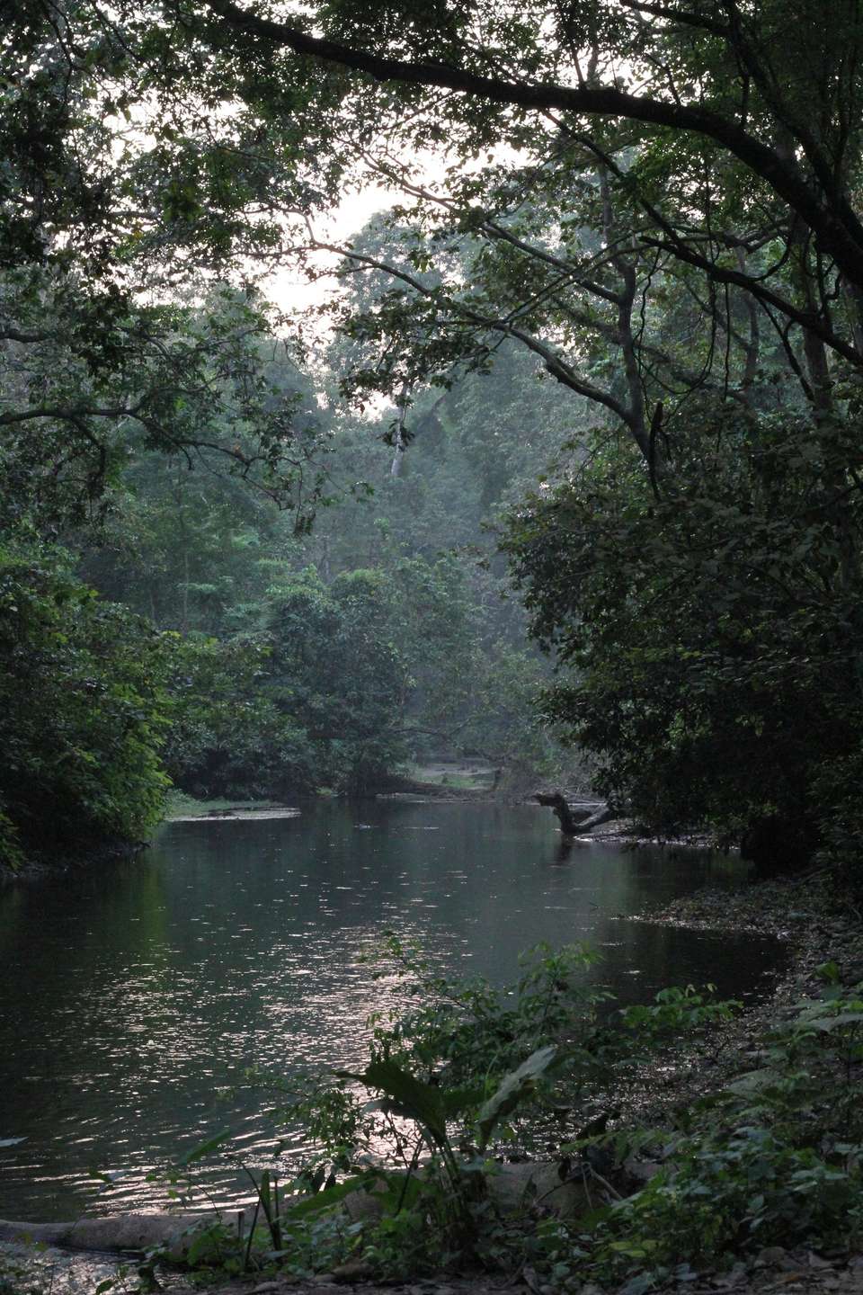 Image 4 of 9