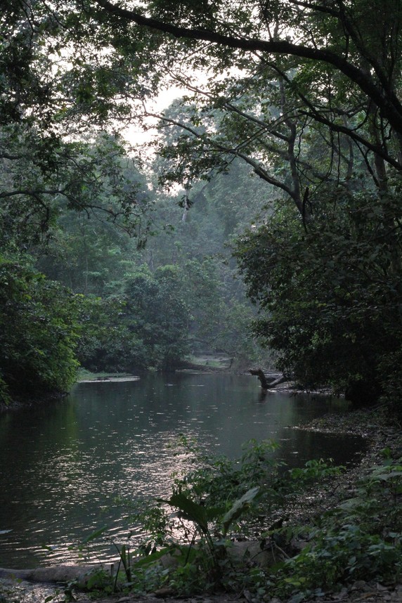 Image 4 of 9