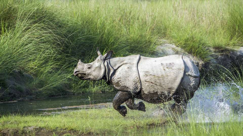 UNESCO World Heritage Site Tour - Travel Max Guide - Nepal - Image 3